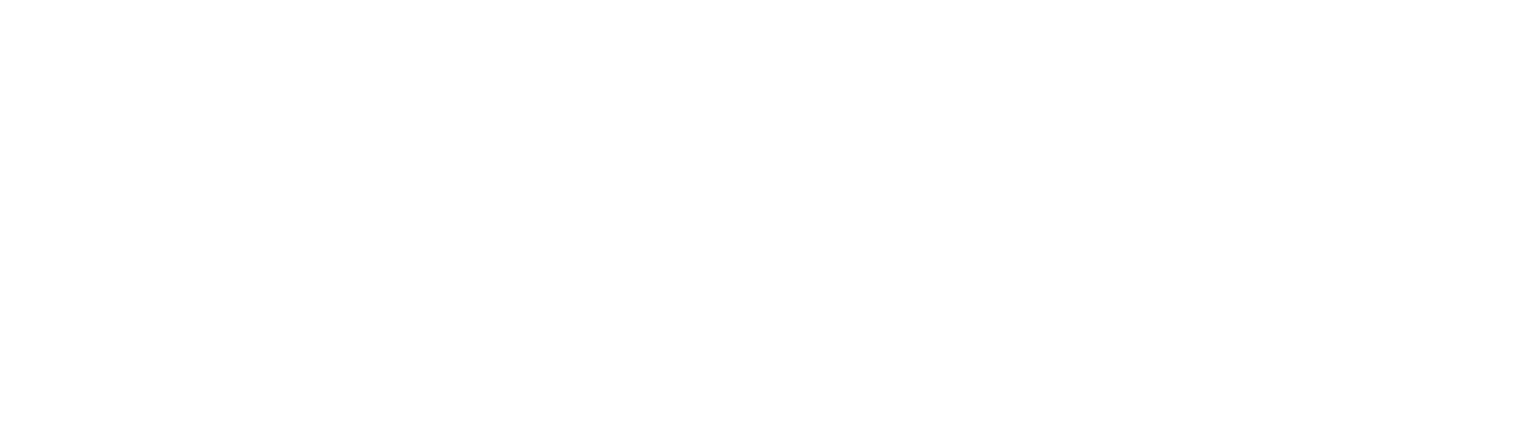 Swiss TPH Logo